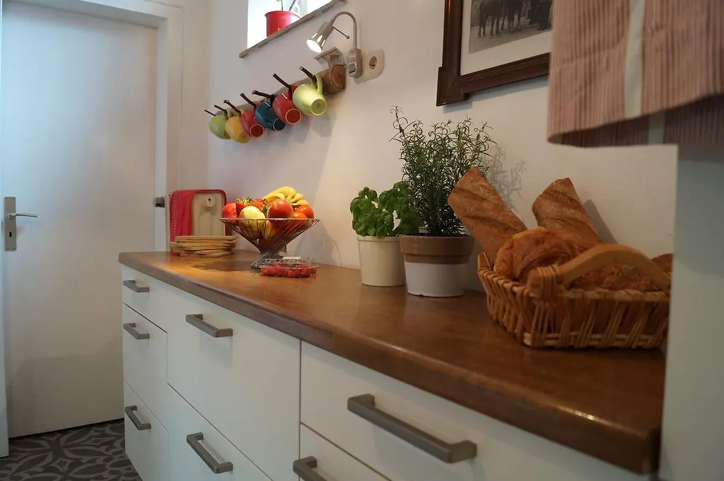 Casa vacanze Villa Hof Am Rhein Colonia